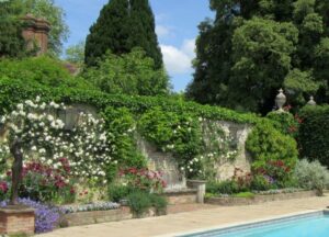 PASHLEY MANOR GARDENS Rose by Pool by Kate Wilson small.jpg