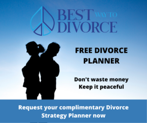 Divorce Planner 1 1.png
