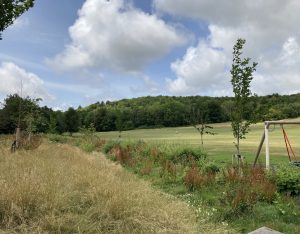 Stanmer play area and marquee brow.jpg