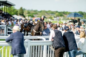 decorative Plumpton Racecourse