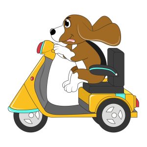 Scooter beagle.jpeg