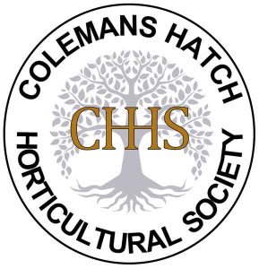 Chhs logo white.jpg